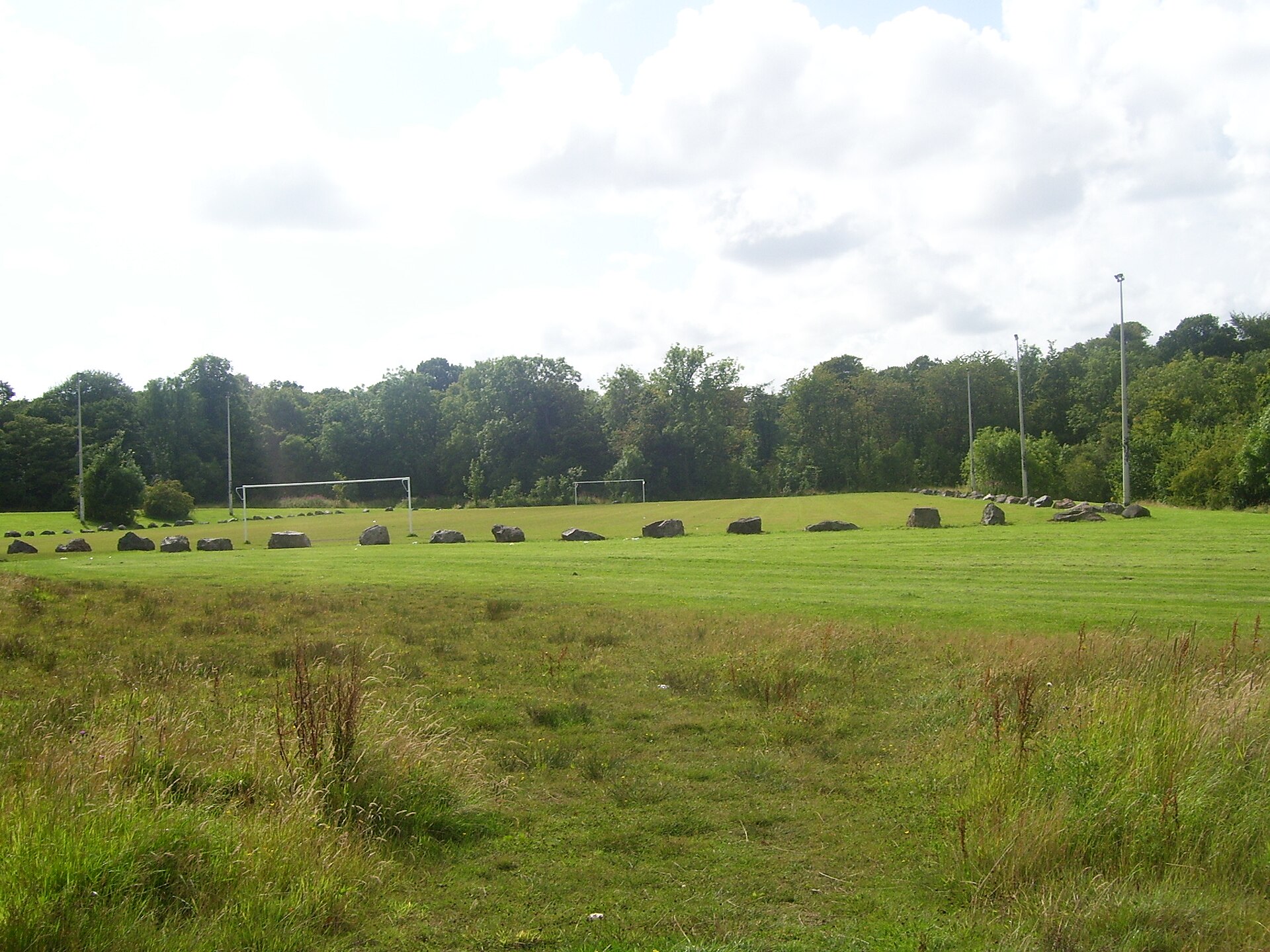 Fu&szlig;ballplatz mit Rasen